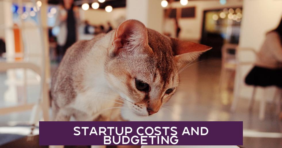 Startup Costs and Budgeting