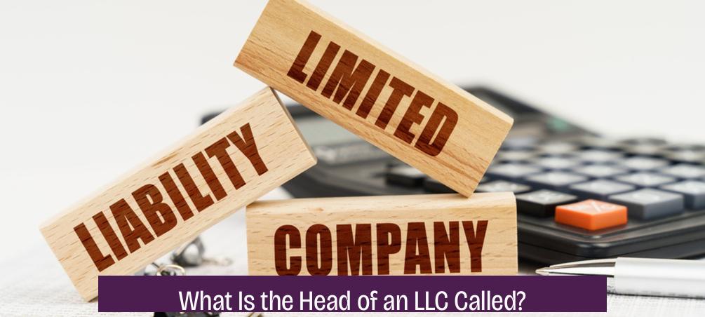 What Is the Head of an LLC Called?