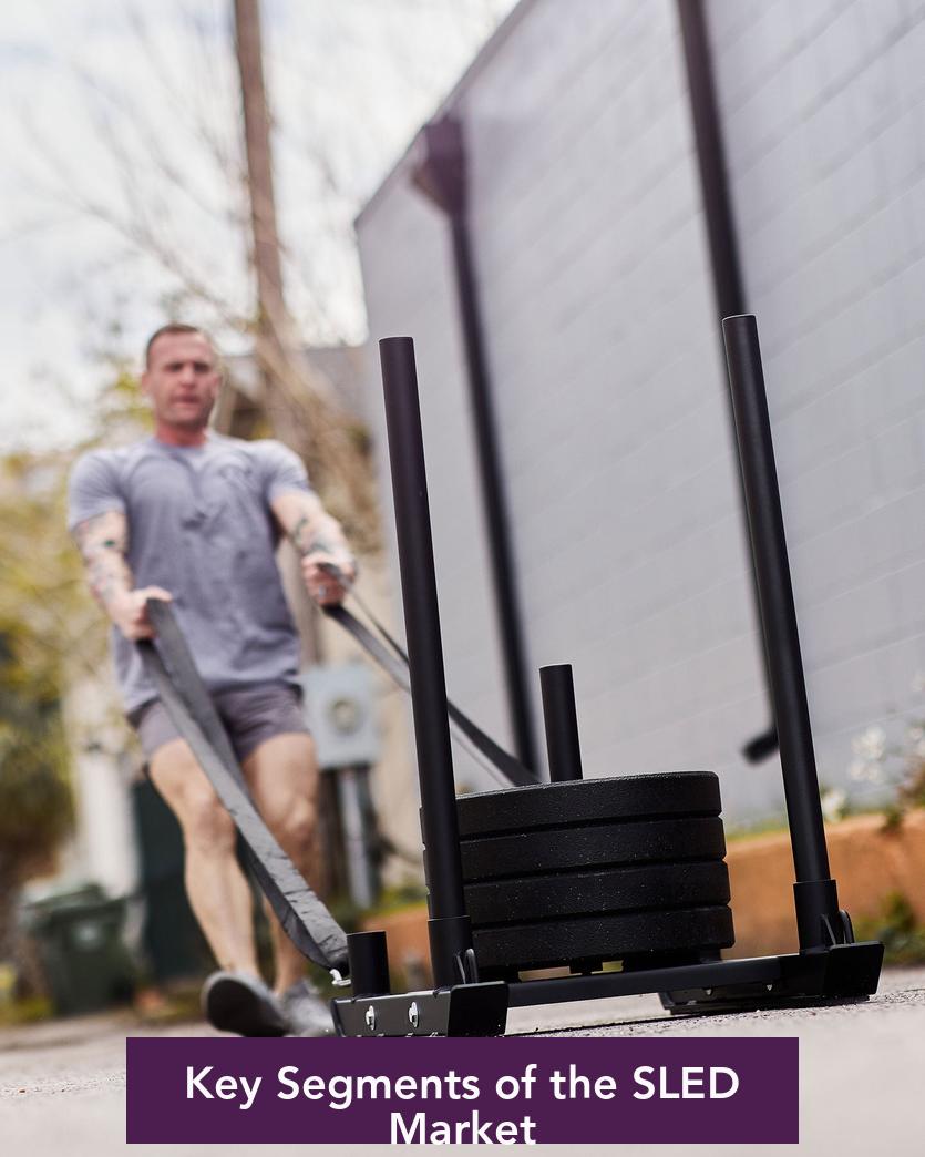 Key Segments of the SLED Market