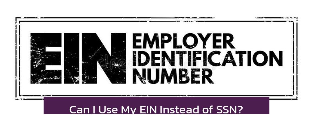 Can I Use My EIN Instead of SSN?
