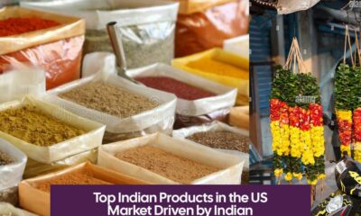 Top Indian Products in the US Market Driven by Indian Diaspora and Trade Growth