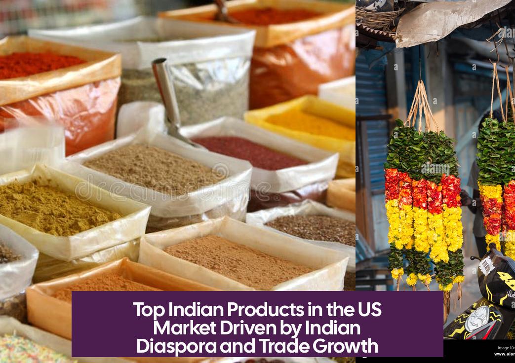Top Indian Products in the US Market Driven by Indian Diaspora and Trade Growth