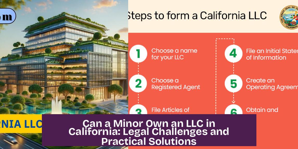 Can a Minor Own an LLC in California: Legal Challenges and Practical Solutions