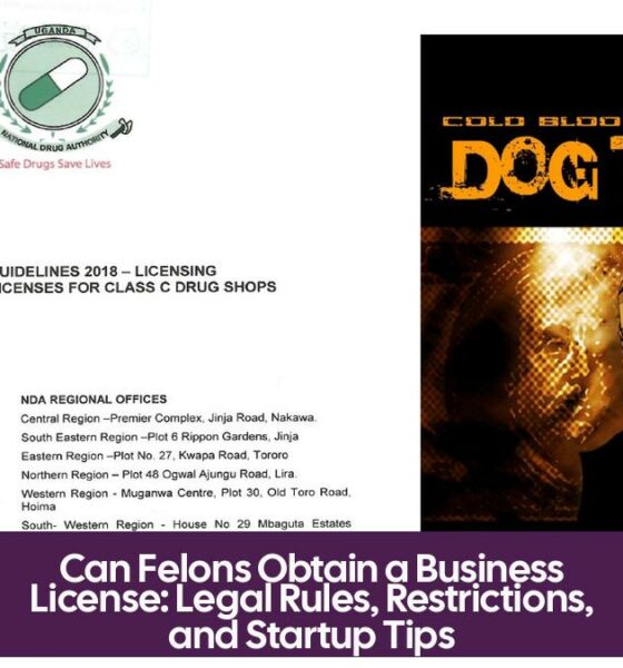 Can Felons Obtain a Business License: Legal Rules, Restrictions, and Startup Tips