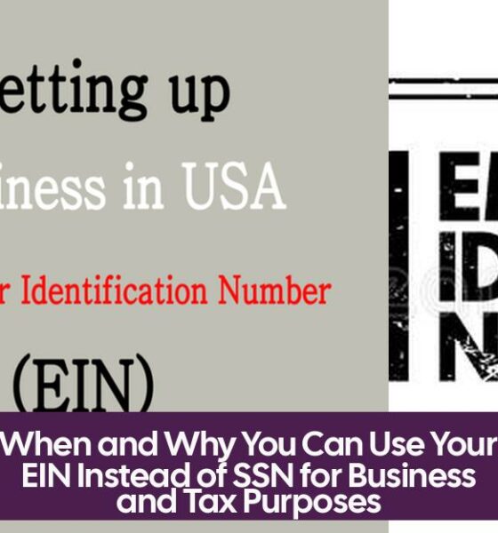 When and Why You Can Use Your EIN Instead of SSN for Business and Tax Purposes