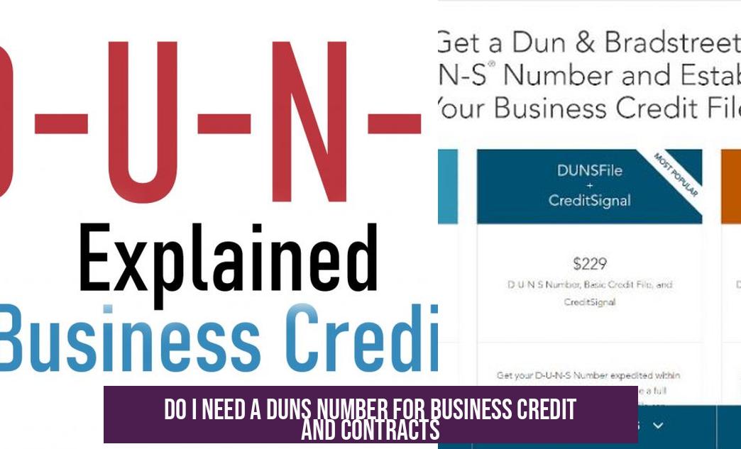 Do I Need a DUNS Number for Business Credit and Contracts