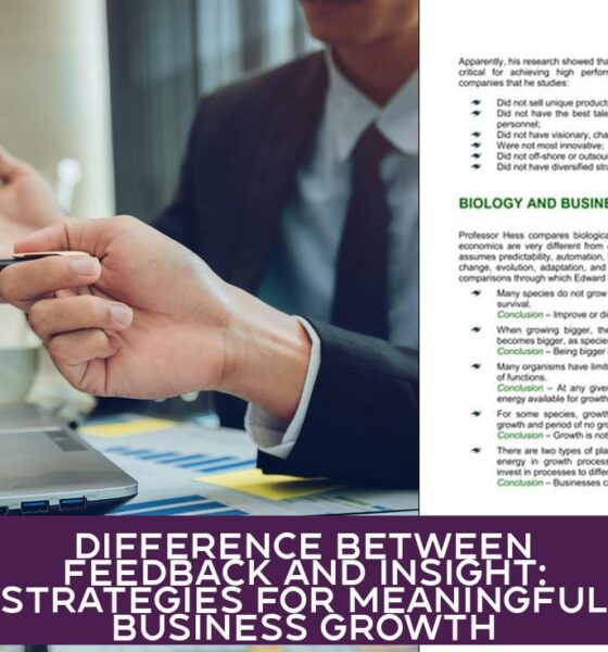 Difference Between Feedback and Insight: Strategies for Meaningful Business Growth