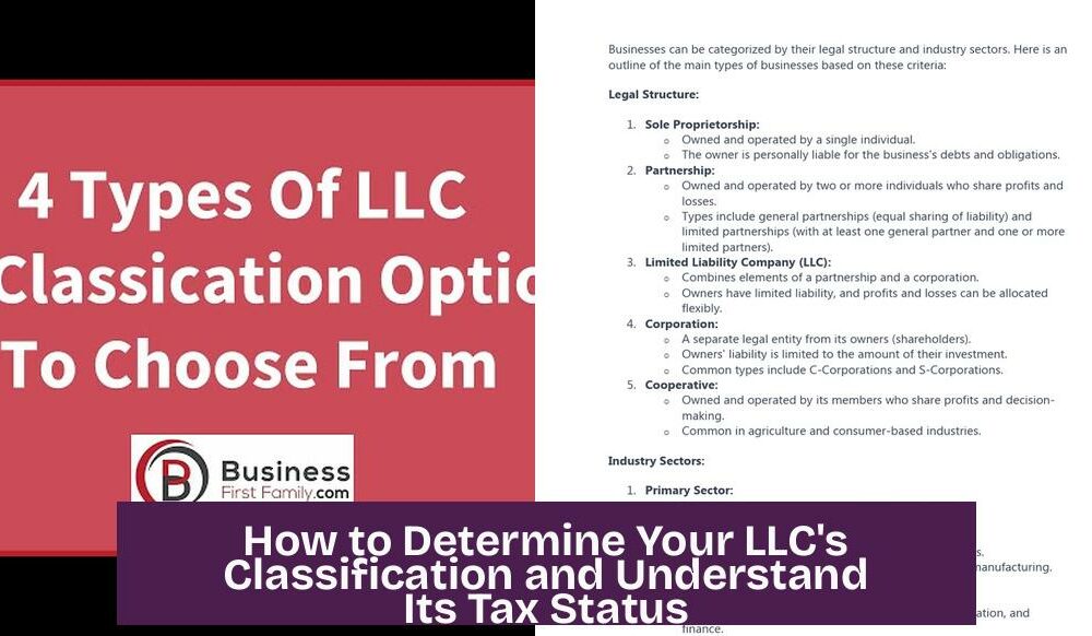 How to Determine Your LLC's Classification and Understand Its Tax Status