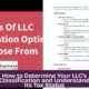 How to Determine Your LLC's Classification and Understand Its Tax Status