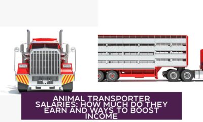 Animal Transporter Salaries: How Much Do They Earn and Ways to Boost Income