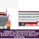 Animal Transporter Salaries: How Much Do They Earn and Ways to Boost Income