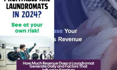 How Much Revenue Does a Laundromat Generate Daily and Factors That Influence Earnings