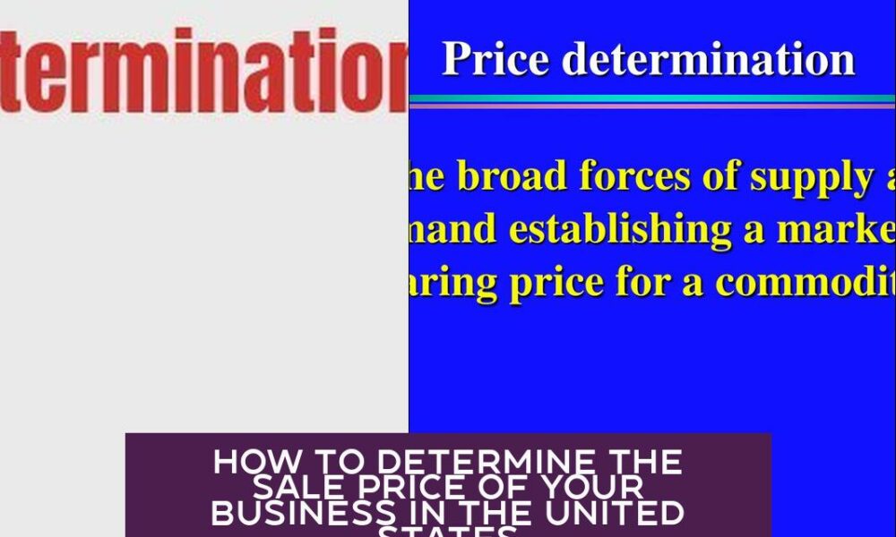 How to Determine the Sale Price of Your Business in the United States