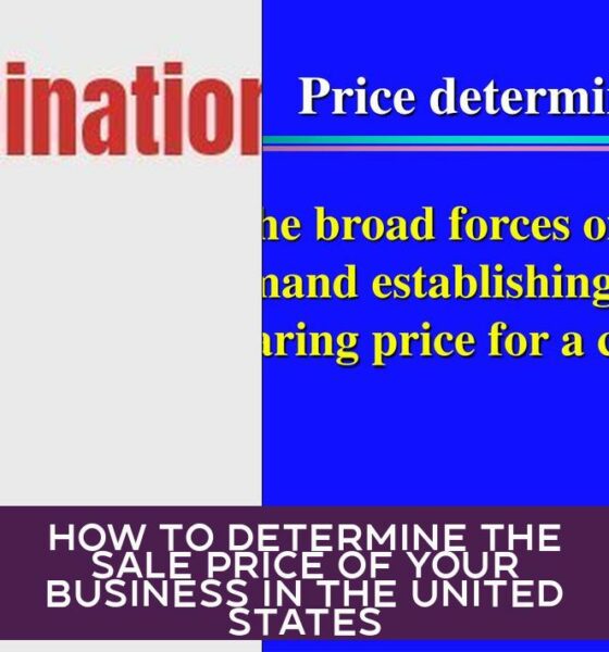 How to Determine the Sale Price of Your Business in the United States