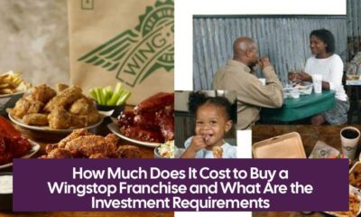 How Much Does It Cost to Buy a Wingstop Franchise and What Are the Investment Requirements