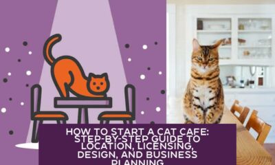 How to Start a Cat Cafe: Step-by-Step Guide to Location, Licensing, Design, and Business Planning