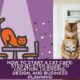 How to Start a Cat Cafe: Step-by-Step Guide to Location, Licensing, Design, and Business Planning