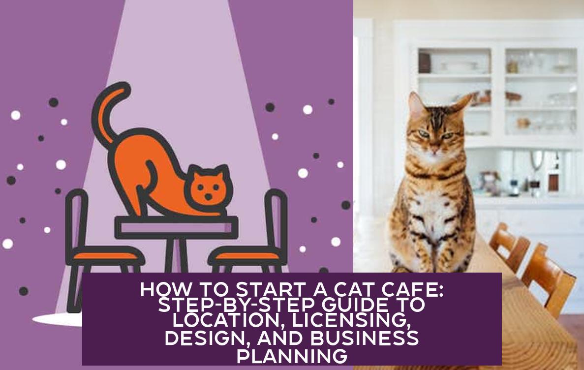 How to Start a Cat Cafe: Step-by-Step Guide to Location, Licensing, Design, and Business Planning