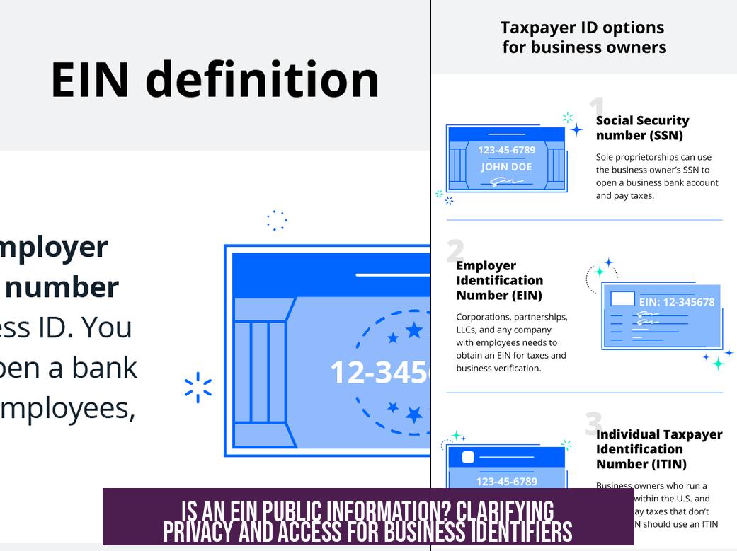Is an EIN Public Information? Clarifying Privacy and Access for Business Identifiers