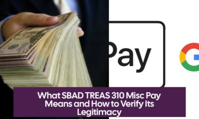 What SBAD TREAS 310 Misc Pay Means and How to Verify Its Legitimacy