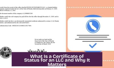 What Is a Certificate of Status for an LLC and Why It Matters