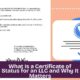 What Is a Certificate of Status for an LLC and Why It Matters
