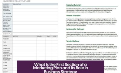 What Is the First Section of a Marketing Plan and Its Role in Business Strategy