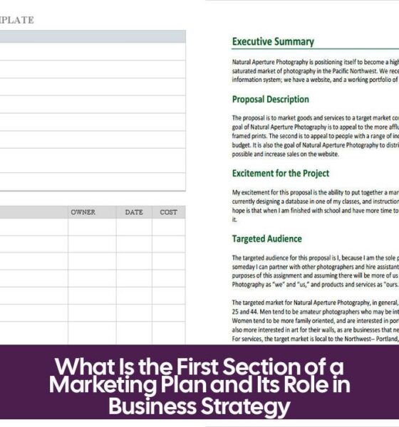 What Is the First Section of a Marketing Plan and Its Role in Business Strategy