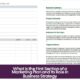 What Is the First Section of a Marketing Plan and Its Role in Business Strategy