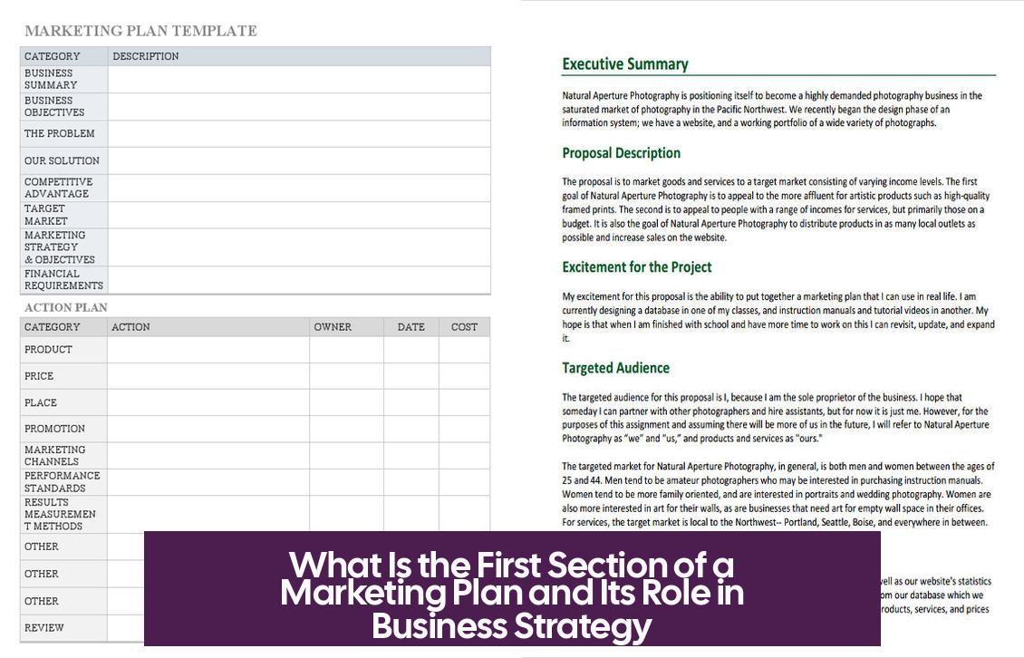 What Is the First Section of a Marketing Plan and Its Role in Business Strategy