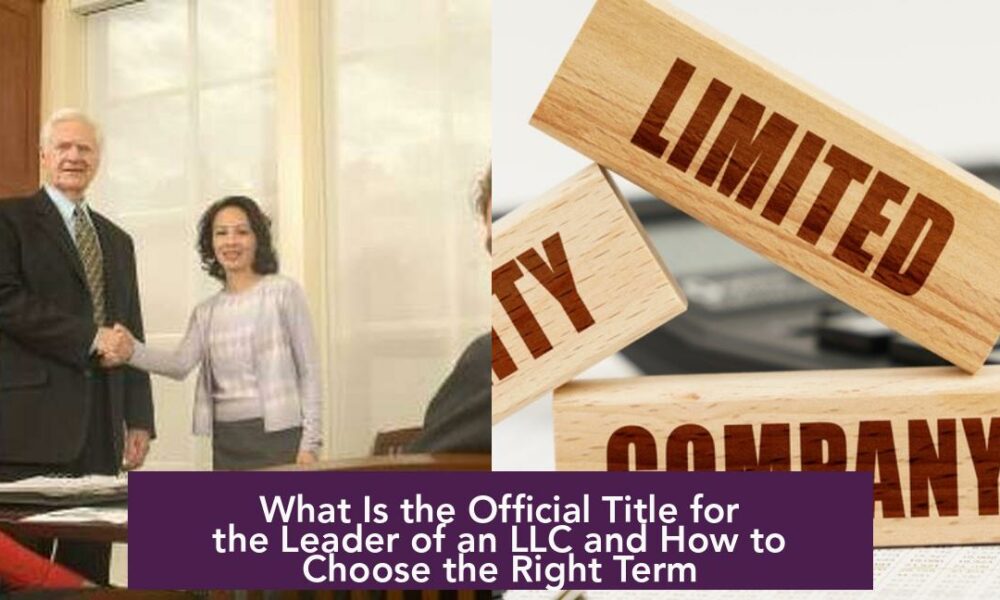 What Is the Official Title for the Leader of an LLC and How to Choose the Right Term