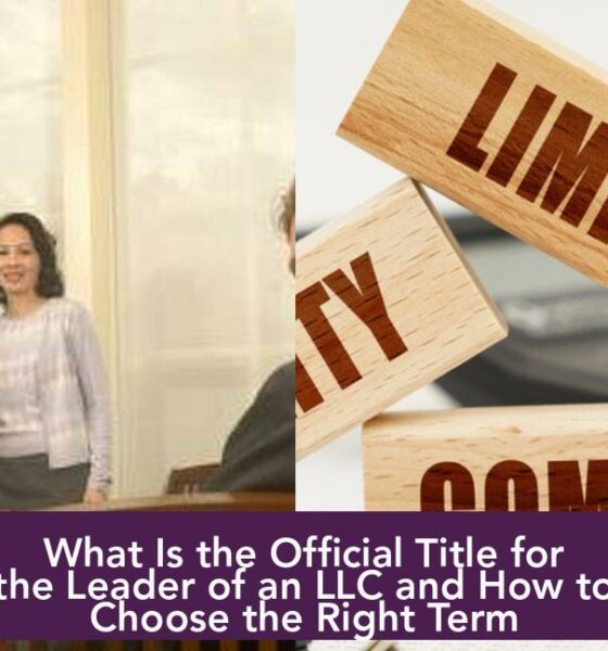 What Is the Official Title for the Leader of an LLC and How to Choose the Right Term