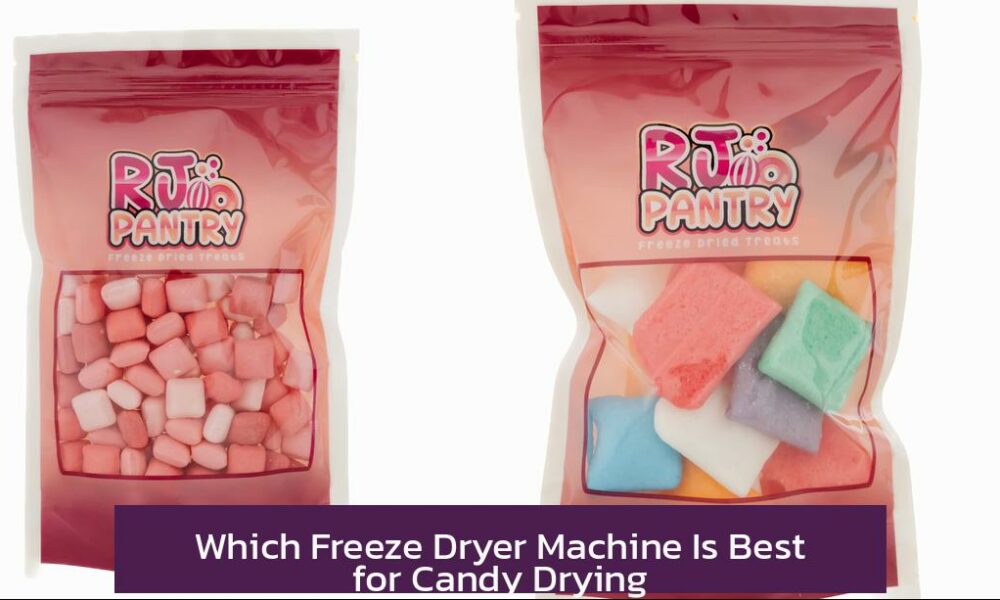 Which Freeze Dryer Machine Is Best for Candy Drying