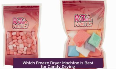 Which Freeze Dryer Machine Is Best for Candy Drying