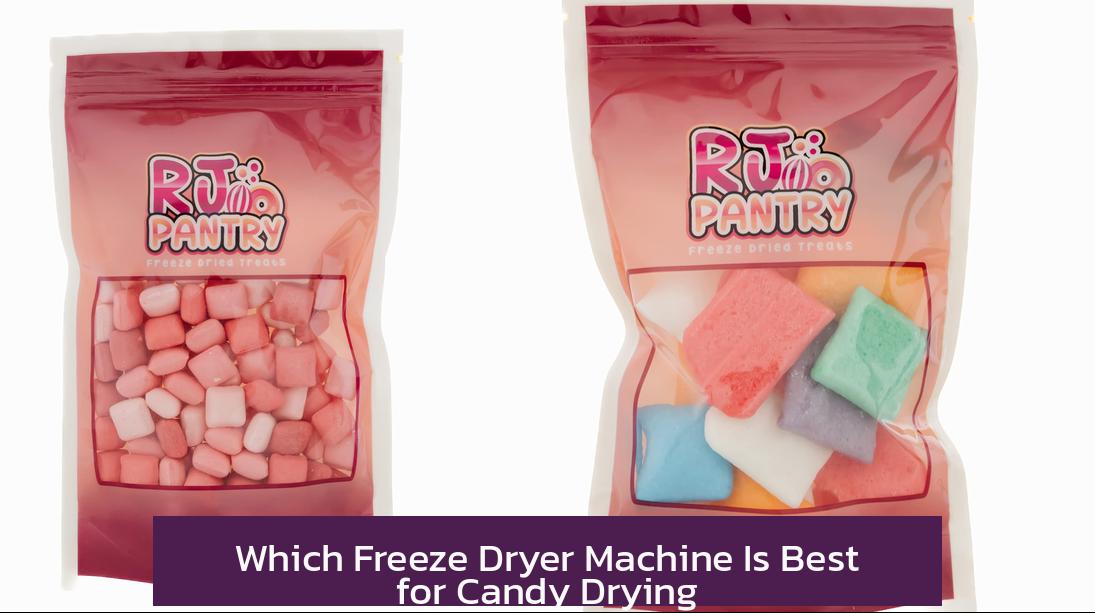 Which Freeze Dryer Machine Is Best for Candy Drying